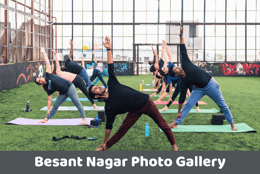 Live Weekend Online Yoga Classes in Chennai